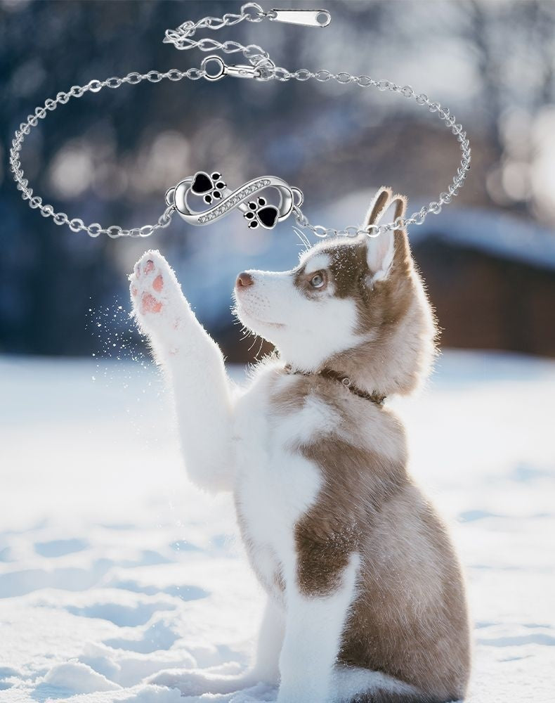 Pulsera de Pata de Mascota con Símbolo Infinito y Zirconia