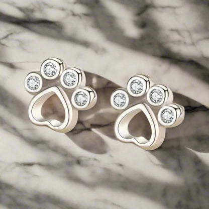 Pendientes de Pata en Plata de Ley