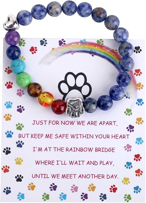 Pulsera Conmemorativa del Puente Arcoíris