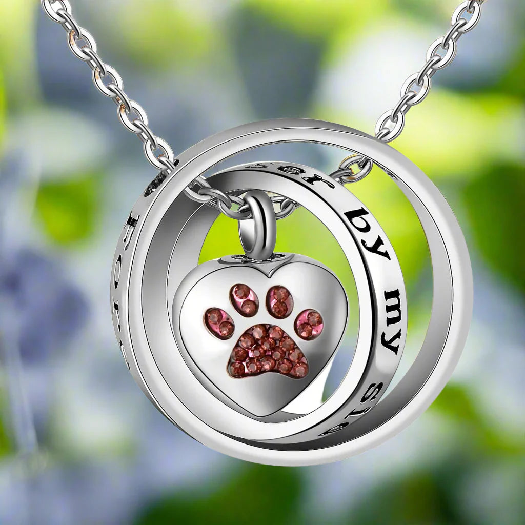 Collar Urna de Pata en Acero Inoxidable