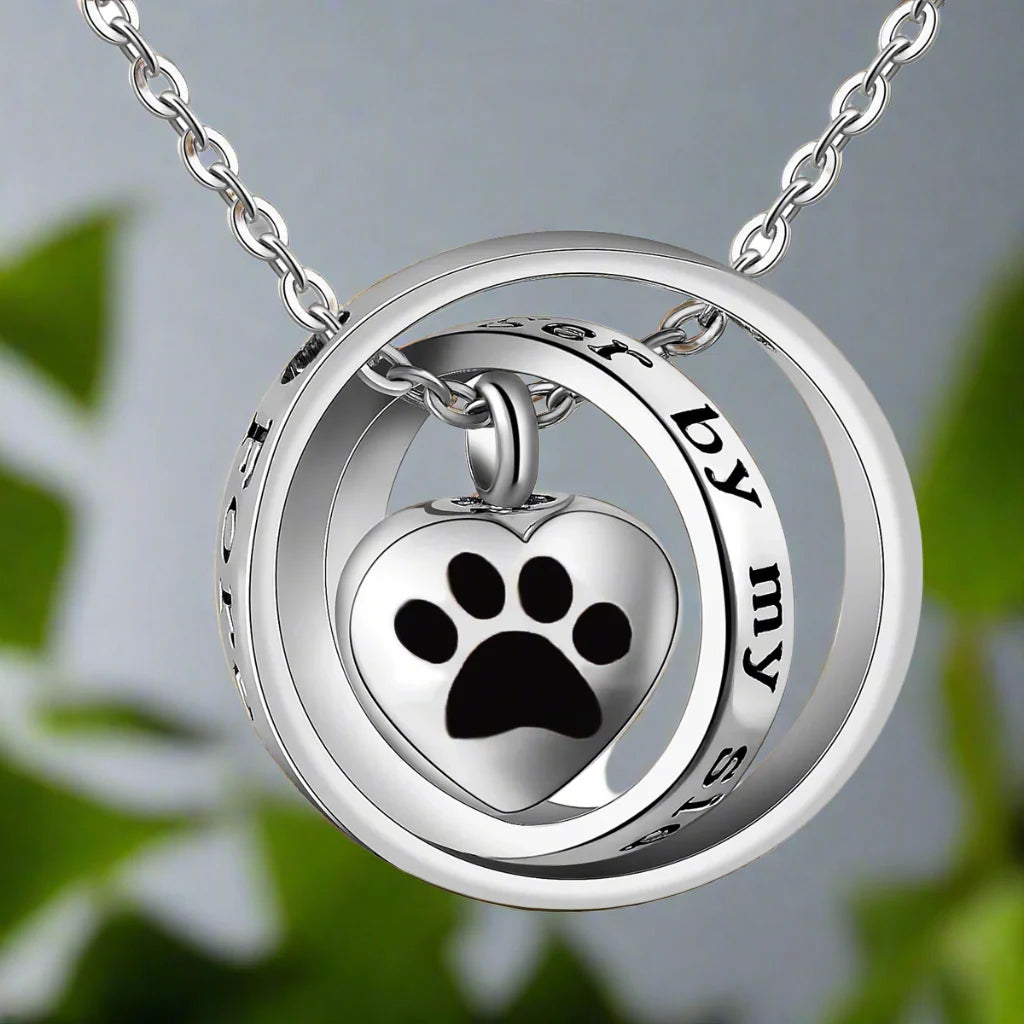 Collar Urna de Pata en Acero Inoxidable